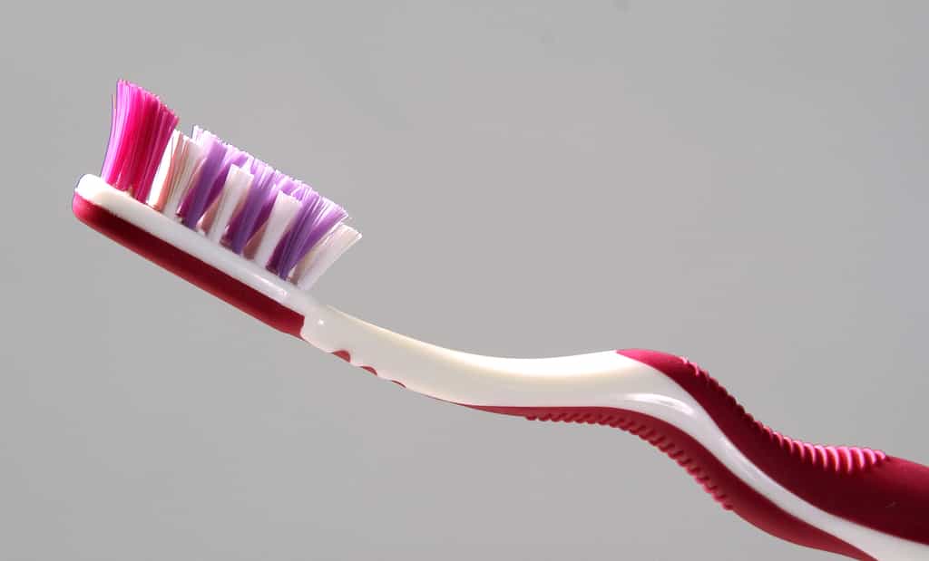 Quand fautil changer de brosse à dent Quand fautil changer de brosse à dent